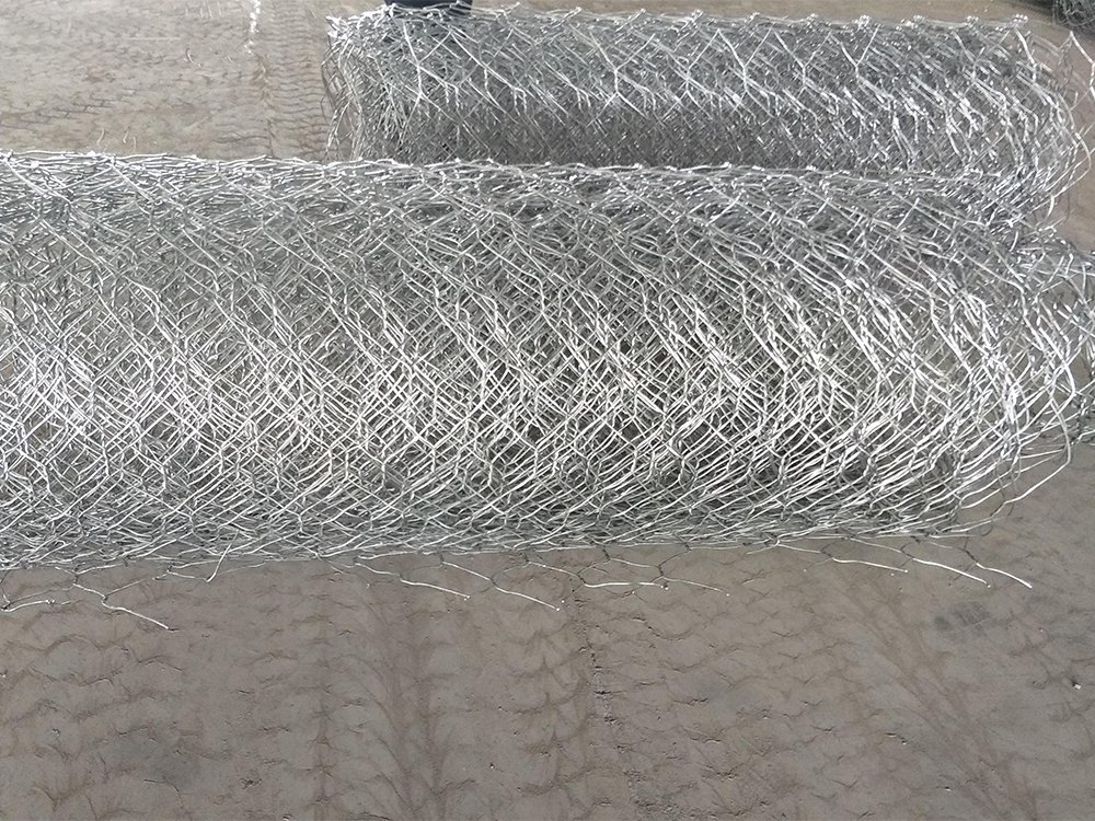 故城縣高爾凡格賓網