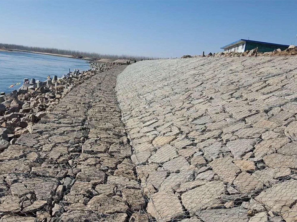 高爾凡雷諾護(hù)墊