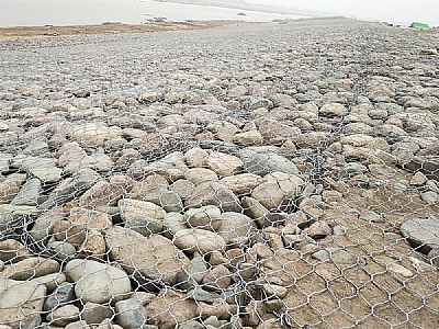 高爾凡雷諾護墊