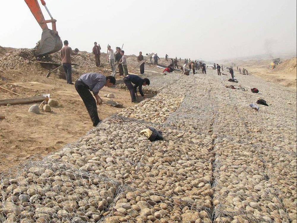 雙隔板雷諾護墊