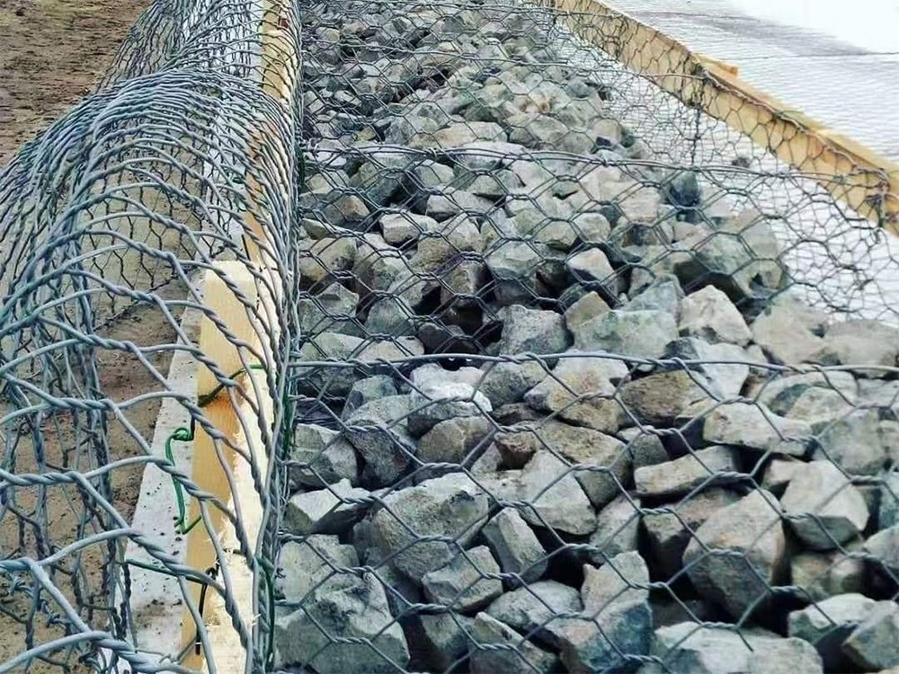 雙隔板雷諾護墊